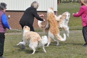 Having fun in the lunch break with sister Soda and his Dad Stan