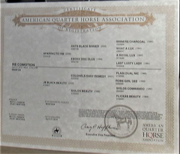 Comotion 's papers