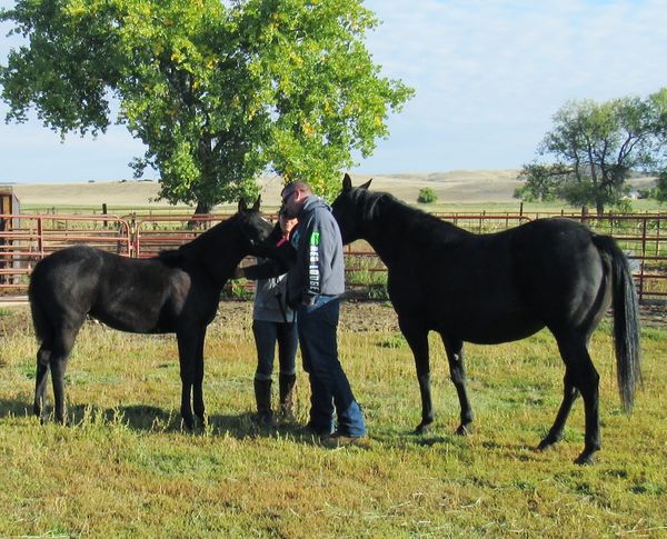 Rizz checking out Dollanics new owners from Michigan