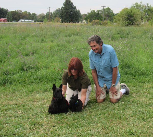 Back for a second Scottie this little girl will live in Colorado/CA, with Fergus a Andrew son which is two years old and is in Relay