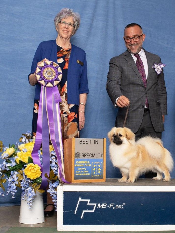 Best of Breed-GCHB Arabelle's TheColonel