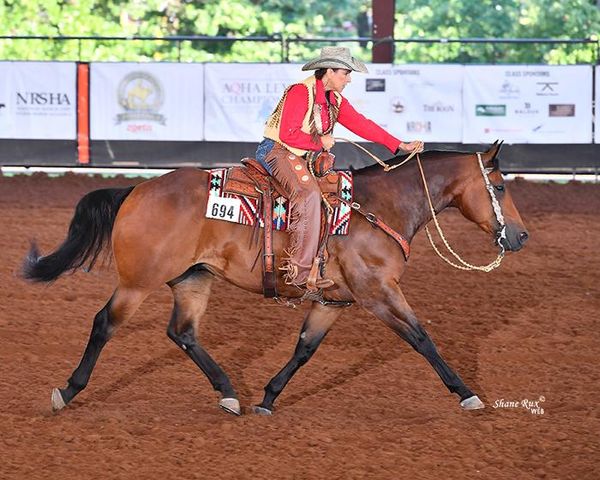 2019 VRH World Show Top 10