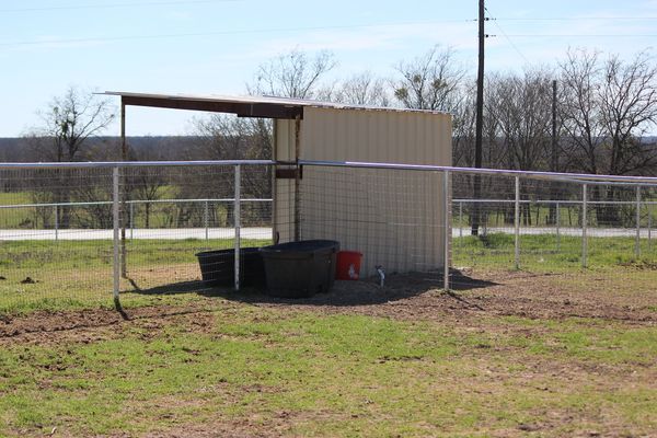 Outside Pens