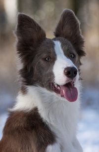 SSR'S Latest Fad 'Style'(Glamour x Scout)