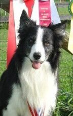 Eyespy The Flash'The Flash'(Mattie x Eye Spy Celt)