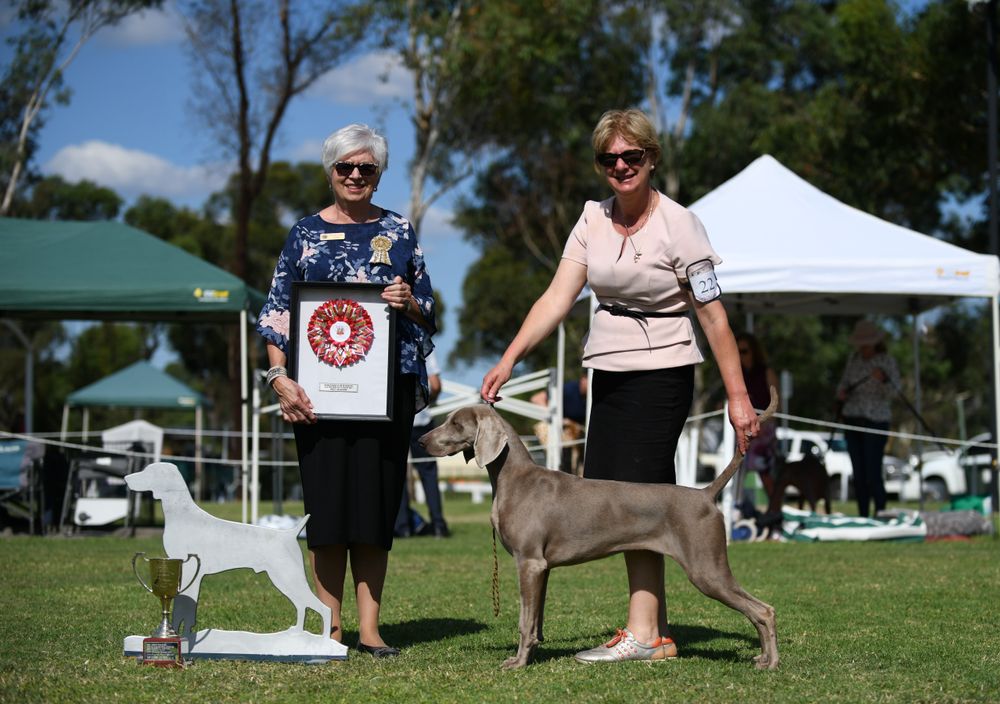 Ebony winning Champion Puppy in Show Easter 2021
