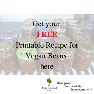 Free recipe link to Vegan Beans