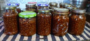 Sealed jars of vegan beans with depressed canning lids