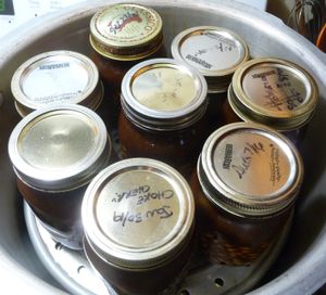 Reusing canning lids to make a full canner of vegan beans