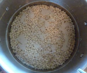 Soaking of navy beans to reduce phytic acid in Vegan beans