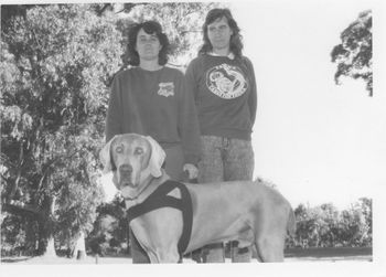 Greythorn Blue Print UD, first Weimaraner in the state to pass a tracking test. Passed his TQT which is now track one in the 80's