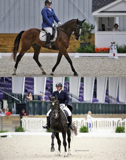 Otopia top picture; Don Niro Bottom