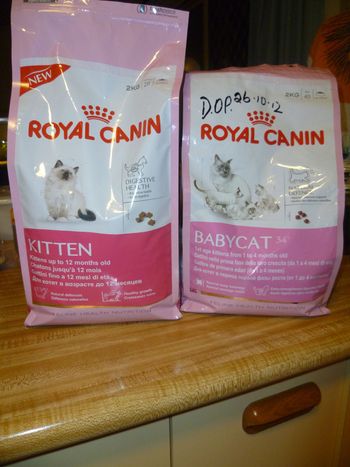 Dry food for your new kiten. Baby Cat food until 16 weeks of age, then Kitten until 12 months of age.