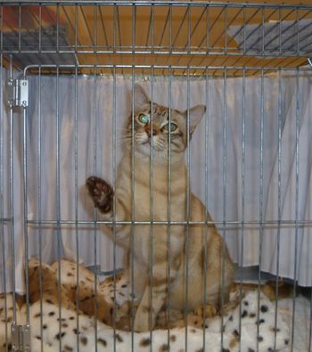 Brandon exercising "show power" - I love you and you and you and you as people file past at an ANCATS show.
