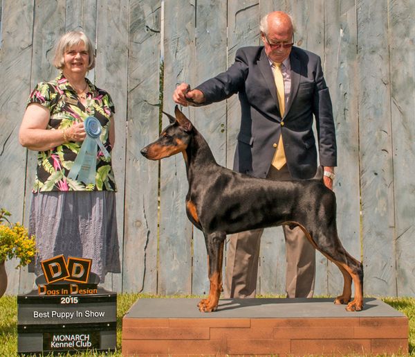 Best Puppy in Show at 7 months