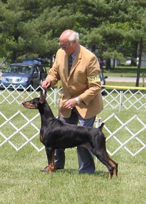 DOBE SPECIALTY 2014