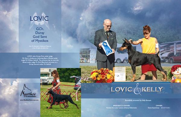 "LOVIC" - GCH DURAY GOD SENT OF MYSTIKOS
Owner: Dawn Aunchman, Mystikos Dobermans