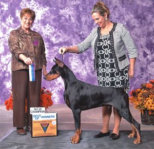 "KESSEL" - AM/CAN CH. LIBERATOR'S POWER PLAY
Pictured above finishing his U.S. championship with Jocelyn Mullins