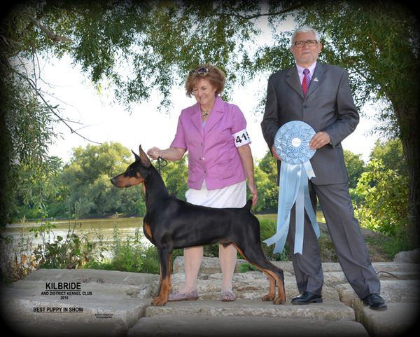 Best Puppy in Show at 10 months