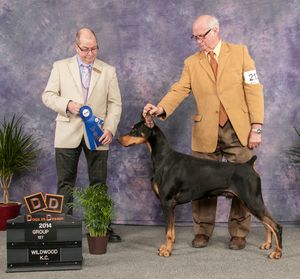 Group 1 and on to Best in Show!