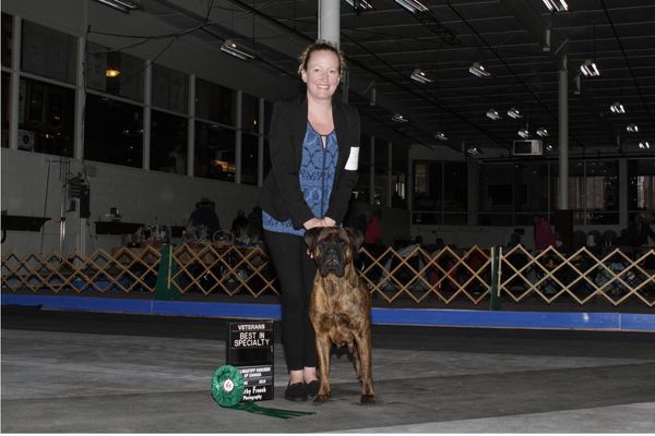 Best Veteran at the Bullmastiff Regional Specialty