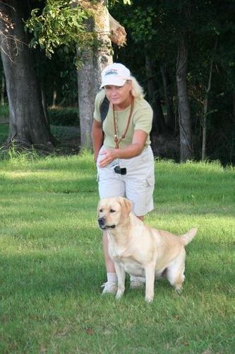 This is another of the photos from SHE MAGAZINE. This is Grace being sent on a blind retrieve. Photo by Wendy White
