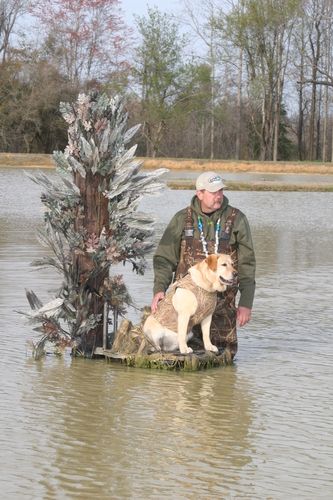 The "Timber Stand" simulator adds a little fun twist to training for us and the dogs. It's becoming more common at Hunt Test events as well.