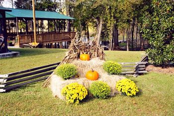 Fall is one of my favorite seasons at the Diamond E Farm. The summer has ended and things get a lot busier with the cooler temperatures. (Photo by Higher Ground Photography)