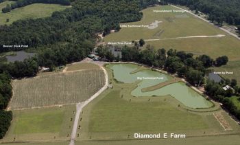 This is a July, 2010 aerial shot of the Diamond E Farm. We have 6 ponds that are used specifically for retriever training. We also have a dove field and various rolling pastures.