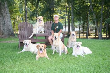 Angie, Grace (on seat) and (L-R) Hoss, Thorne, Dixe, Roxy and Duchess all have parts in the demonstrations and analogies used in the Roxy Ministry Retriever Demonstrations. Photo by Wendy White