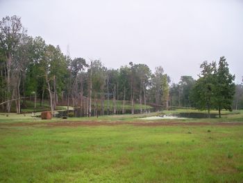 July, 2011 From the South Pasture you can see the Green Tree Pond and the Swim By Pond. This area offers a lot of technical training for the dogs. The Green Tree Pond has a lot of "stick pond" features.