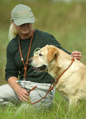 Dogs introduce you to the nicest people. Jim Harvey, a professional photgrapher and businessman from Florida was at this hunt test and shot this picture of Angie and Roxy. Jim was in the same Master flight with us and had a real nice male black Lab, JT's Missing Element (Carbon).