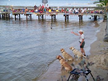 Angie tosses a "duck" for Thorne, Roxy and Grace during an honoring drill at a retriever demonstration for the Camp Bob Cooper 4H camp. The event was sponsored by the Carolina Retriever Association.