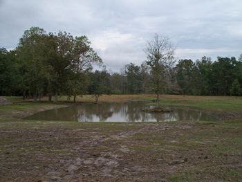 This is the "Tobacco Barn Pond" from its west end. It has several technical aspects to make it a nice little training pond to challenging any level of dog.
