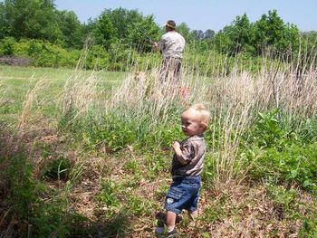 Little Eli Adams watches his dad work "Thorne" in the first series of the Delta Waterfowl Mid Atlantic Retriever Championship.