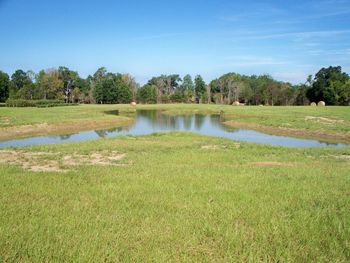 This small Technical Pond sits in the valley of a 30 acre pasture. It has several fingers, points and an island to add to retriever training possibilities.
