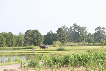 Our hay ride around the farm is the best way to see all the ponds, fields and natural habitat for retriever training.