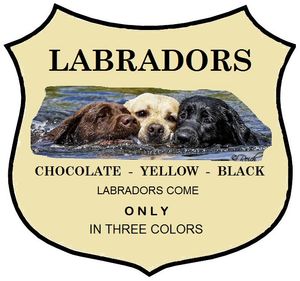 The Issue of the Silver Labrador