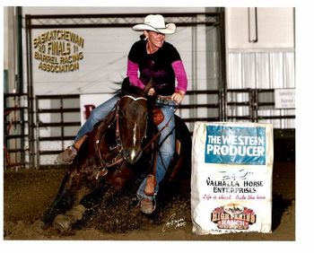 Povertys Bows N Lace IS SOLD! 1998 Brown Mare, 14.3 and stout. Finished rodeo mare with many notable accomplishments - many rodeo and jackpot wins and placings. Very efficient style. Works best in smaller pens, but has ran 17's on regulations. Sit back, stay out of her way, and enjoy the ride. Not for an aggressive rider that tends to over-ride their horse. CONGRATULATIONS TO CHARLIE AND WENDY YOUNG OF ELK POINT, AB ON THE PURCHASE OF "BOWS"! I HOPE THAT SPENCER ENJOYS HER AS MUCH AS I HAVE - BEST OF LUCK!!!