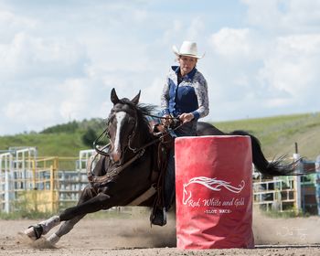 ALG Famous Look "Heffner" IS SOLD! "HEFFNER" is a 2013 Bay Gelding that is sired by JD Look (Strawfly Special, On A High), and out of Meant Ta B Famous (by Dash Ta Fame). The JD Look offspring need no introduction, with lots of them proving themselves in the barrel pen, and with the DTF on the bottom, this guy can move and turn inside out - he is such an athlete. He is stunning! A bigger gelding with a smooth, elevated move, and that is sure to catch every eye around. VGBRA Eligible and paid into Future Fortunes. He is a free-runner that will require a quiet rider that can support him, and not overhandle him. When all the pieces come together for him, he'll be a tough one to beat. Runs to the left. He is currently running mainly Mid 1D times, sometimes top of the 2D times without being pushed. He has a bone spur on his right front coffin bone that will require maintenance - if you are looking for a bit of a discount off the purchase of a 1D or rodeo horse, but are prepared for a bit of maintenance, he would suit. Full disclosure of vet xrays and contact with our vet available. Video available. MANY THANKS TO KARLEE CARLSON ON THE PURCHASE OF "HEFF". WISHING YOU MUCH SUCCESS IN THE FUTURE.