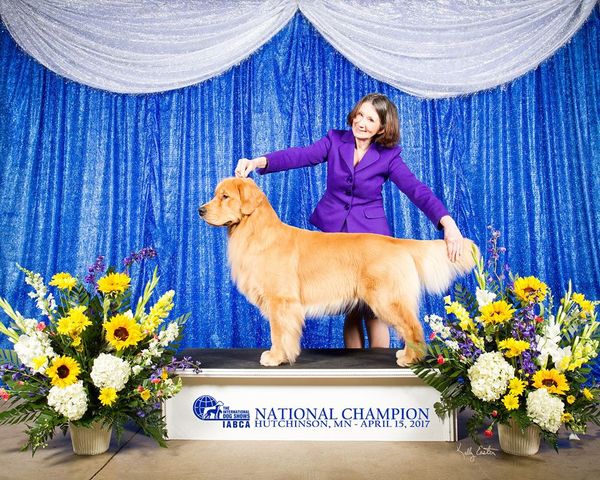 Deb and Arttu finishing his International Championship in style, Best of Breed and a Group 2nd. April 15 th 2017