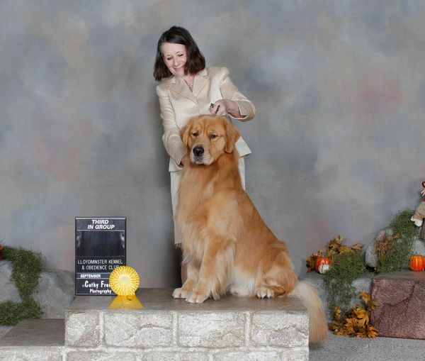 On his way to Show Dog Hall of Fame almost 3/4 of the way there now... at Lloydminster October 2017 Best of Breed 3 times over the weekend and a Group 3 out of 5 shows he was entered in. Beautifully presented and groomed by Deb Wood. Owned and loved by Judy. Great work Team Arttu!