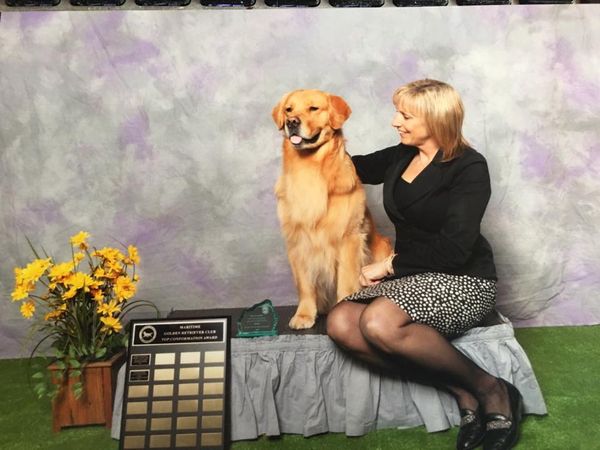 B was # 1 Golden in the Maritimes!
Hugs congratulations for this accomplishment go to Team B! Handler Extraordinaire Tory Clark, Owned and Loved by Mary & Cliff Bluechardt. We are so proud of you for making this happen!