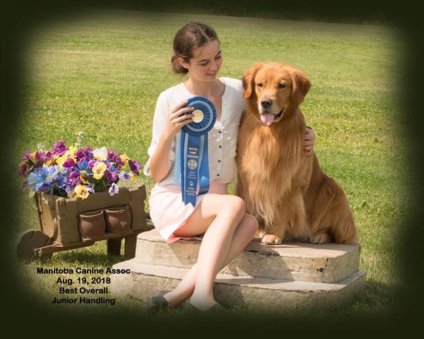 Huge Congratulations to Sarah and Baloo - Best Overall Junior Handler, what a team!
August 19, 2018