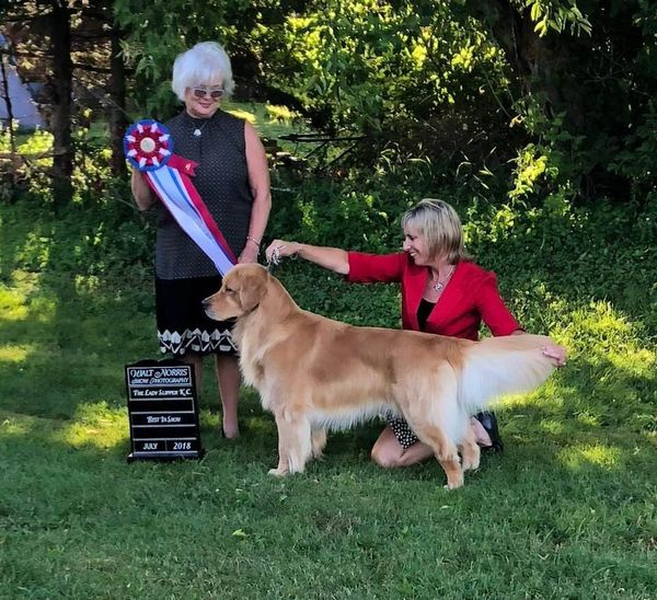 B spent the weekend with Tory in PEI at the Maritimes Golden Retriever Club Regional Specialty. At the Regional he won Award of Merit... in the regular show he went Best of Breed 3 x, Group 4th, Group 2nd, and Group 1st and finally BEST IN SHOW! Congratulations Team B! A huge shout out to Tory Clark for her expert presentation of B :)