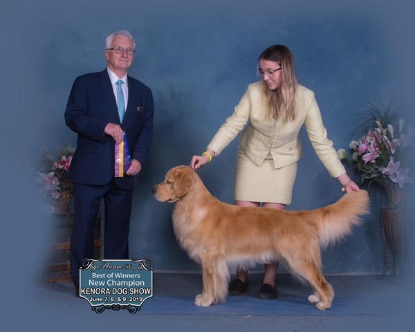 Congratulations to our newest Champion! Carter and Lauren finished his Canadian Championship at Kenora. Congratulations Team Carter! Careter is owned, loved and shown by Lauren. We are so proud of you!