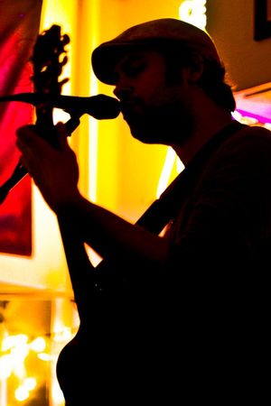 <b>ALEX HOFFER (Guitar/Harmonica/Vocals)</b>