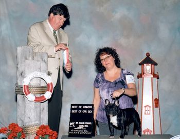 Thank you judge Charles L. Olivis for Pippa's "Redfern's Royal Lady in Waiting" wonderful win at the St Clair Kennel Club, Best of Winners & Best of Opposite Sex. We are so proud of this 7 month girl !