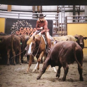FROSTED FLAKE Owner/Breeder Grant & Gale Ackroyd, Rider Gale Ackroyd 2019 Canadian Spectacular Non-Pro Futurity Reserve Champion