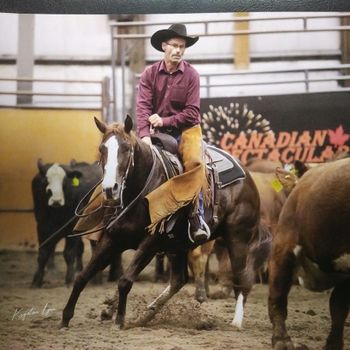 O GRACIOUS ME Owner/Breeder Grant & Gale Ackroyd, Rider Grant Ackroyd 2019 Calgary Stampede Wrangler Non-Pro Cutting Futurity Reserve Champion